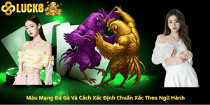 Màu Mạng Đá Gà Và Cách Xác Định Chuẩn Xác Theo Ngũ Hành