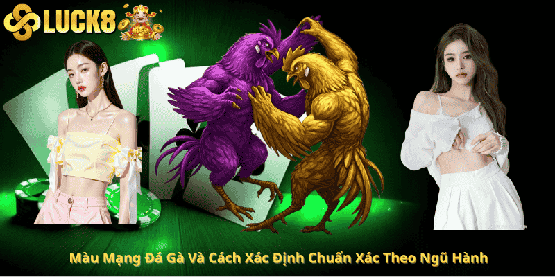 Màu Mạng Đá Gà Và Cách Xác Định Chuẩn Xác Theo Ngũ Hành